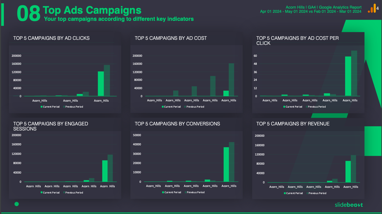 Google Ads Report Example